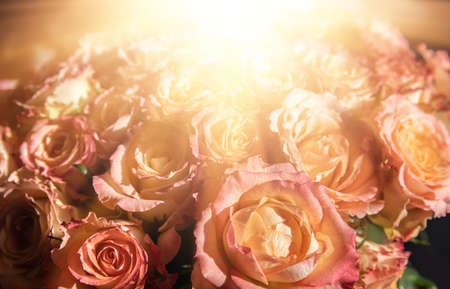 A festive bouquet of orange roses in sun light. Floral backgroundの写真素材