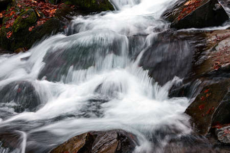 Waterfall and forest stream in the Carpathian mountains. Ukraine. Europe