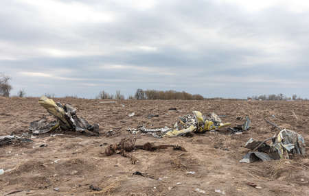 MAKARIV, UKRAINE - Apr. 23, 2022: Skeletons of dead Russian military pilots among the wreckage of a downed and burnt helicopter in the middle of a field near the village of Makarivのeditorial素材