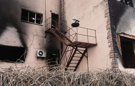 MAKARIV, UKRAINE - Apr. 23, 2022: Completely and partially destroyed houses in the village as a...