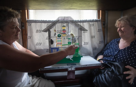 POKROVSK, DONETSK reg, UKRAINE - Aug. 04, 2022: War in Ukraine. Refugees awaiting evacuation. Evacuation train from Pokrovsk last railway station in Donetsk region, Ukraine.のeditorial素材