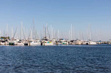 ST. PETERSBURG, FLORIDA - Oct. 21, 2022: Line of sailboats docked in St. Petersburg, Florida.のeditorial素材