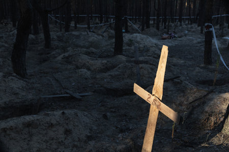 A ray of the setting sun on a grave cross at a forest burial site after exhumation in the town of Izium, liberated by Ukrainian troops, Kharkiv Region, Ukraine.の写真素材