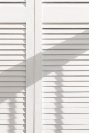 White wooden door . Light and shadows. Abstract texture backgroundの写真素材