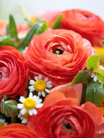 A close-up shot of a vibrant bouquet features beautiful red and orange ranunculus flowers with daisies, and fresh green leaves.の写真素材