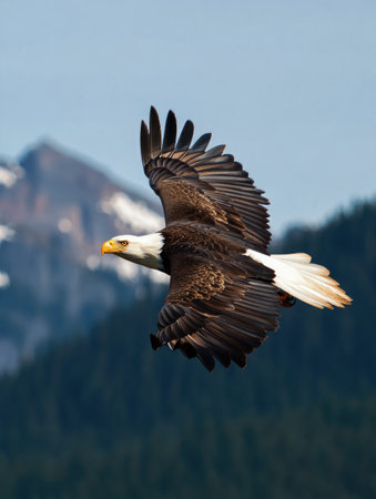 A majestic bald eagle soars gracefully against a backdrop of mountains and serene blue sky, displaying its strength and freedom.の写真素材