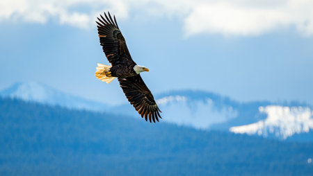 A majestic bald eagle soars gracefully against a backdrop of mountains and a cloudy sky, showcasing freedom.の写真素材
