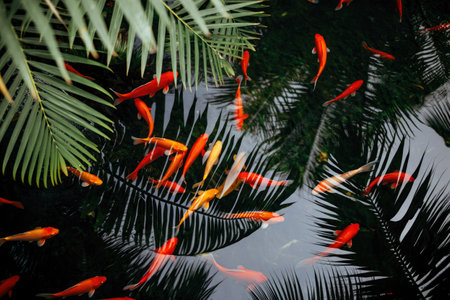 Vibrant koi fish swim beneath lush green palm fronds, creating a tranquil and picturesque scene in a pond.の写真素材