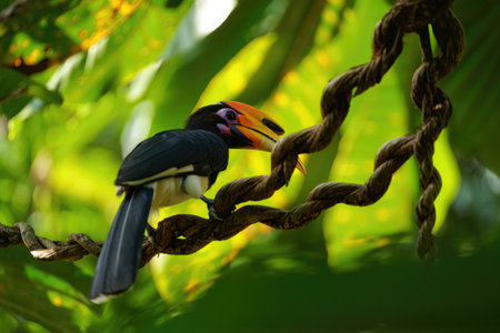 A beautiful bird perches on a twisted vine amidst lush green foliage, showcasing vibrant colors and intricate details.の写真素材