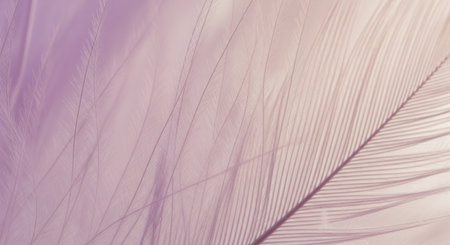 Close up of a feather in shades of purple and beige, showing the intricate details of the structure.の写真素材