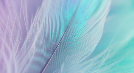 A macro shot showcasing the delicate details and subtle color gradients of a feather, offering a sense of calm.の写真素材