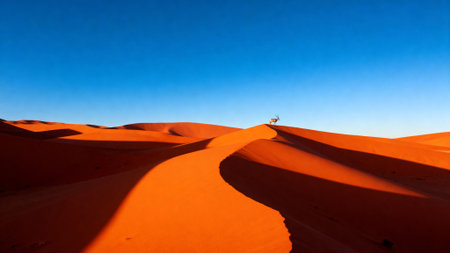 An oryx surveys the vast expanse of the Namib Desert from a high vantage point, bathed in warm sunlightの写真素材