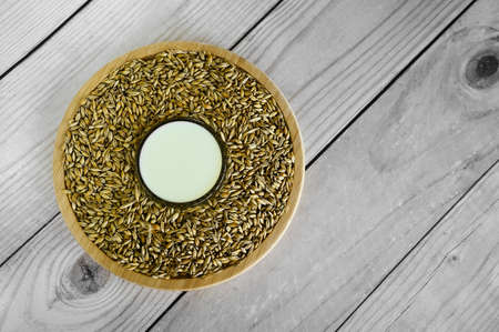 Vegan barley milk, non-dairy alternative milk on a wooden table against the background of barley grains, copy spaceの写真素材