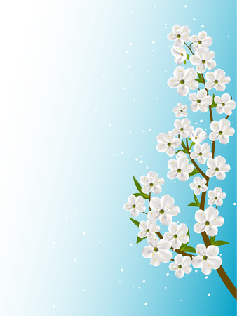 floral backgroundのイラスト素材