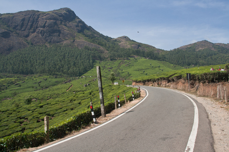 Landscape of Munnarの写真素材