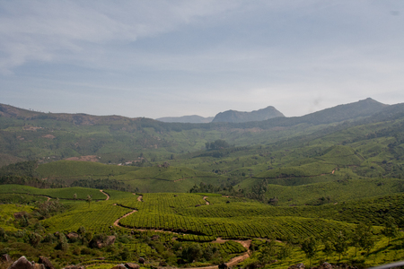 Landscape of Munnarの写真素材