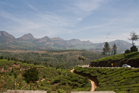 Landscape of Munnar