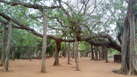 Auroville Pondicherryの写真素材