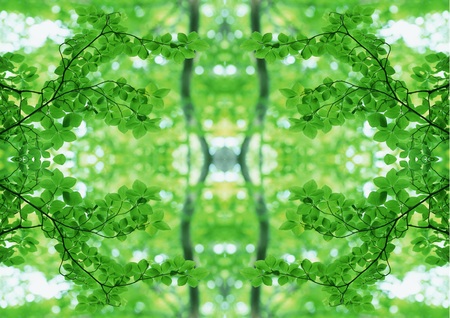Green Texture