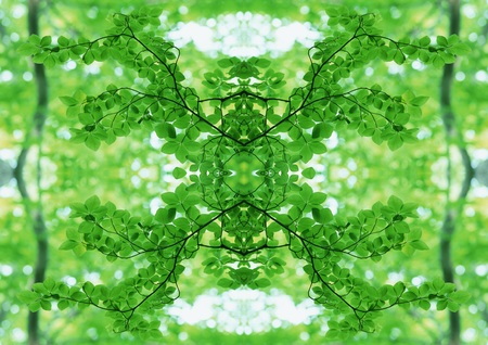 Green Texture