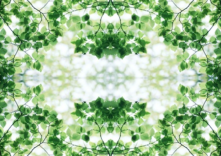 Green Textureの写真素材
