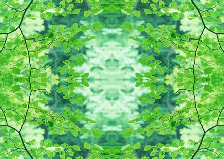 Green Textureの写真素材