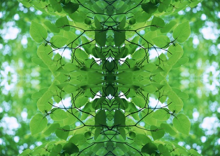 Green Texture