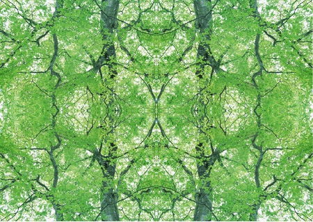 Green Texture
