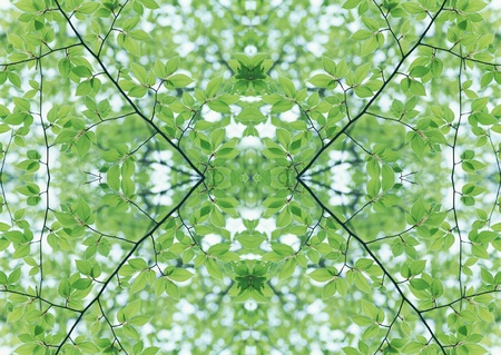 Green Textureの写真素材