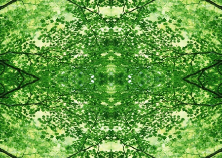 Green Texture