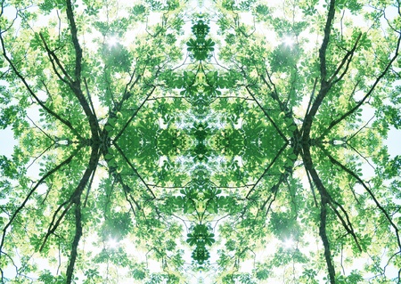 Green Texture