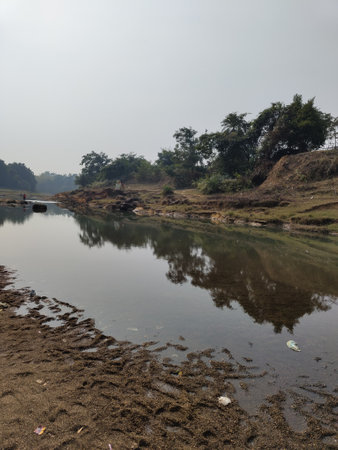 River in the jungle, Kolkata, West Bengal, India