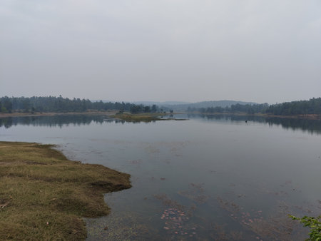 Landscape view of a lake in the middle of the forest.の写真素材