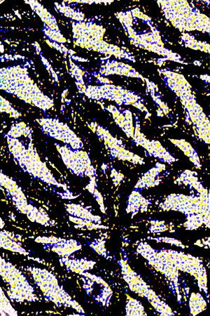 Abstract background. Psychedelic texture of brush strokes of colored paint of blurred lines and...