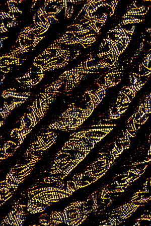 Texture, background, pattern. Women's scarf with a pattern of yellow and blue sequins on a black...