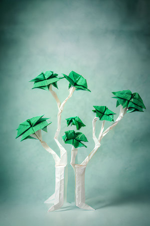 Origami paper tree with green bows. Conceptual image of educationの写真素材