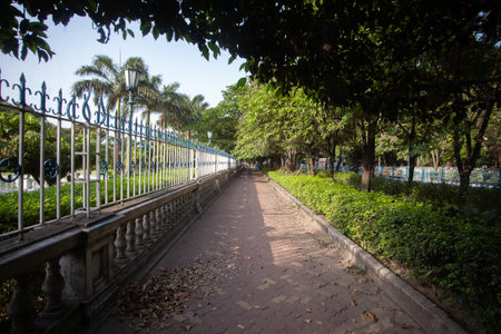 walkway in the park, public park, public park, public parkの写真素材