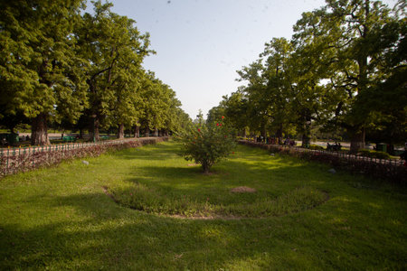 Beautiful park in the city of Gdansk, Poland.の写真素材