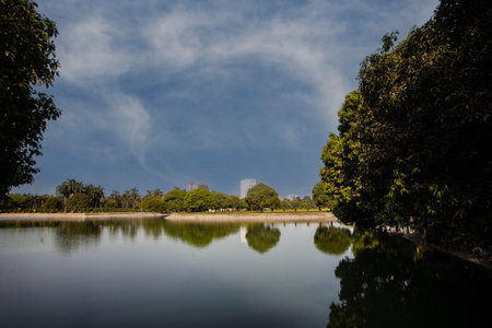 Reflection of a tree in a lake in a park in Bangkok, Thailandの写真素材