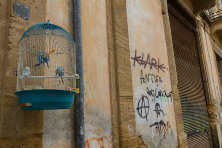 Nicosia, Cyprus - 18 February, 2016:  Budgie Parrot Bird cage on an old building wall on Aischylou Street in the Old Nicosia city centre. The old city of Nicosia within the Venetian Walls is a perfect place to walk in back alleys and abandoned areas, in sのeditorial素材
