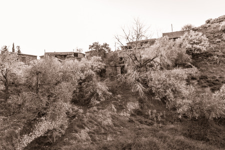 Blooming almond trees in Fikardou village in Cyprus. The villahe is a UNESCO heritage site, being a traditional mountain settlement preserving its 18th and 19th century physiognomy and archtecture. Photo has been sepia tonedの写真素材