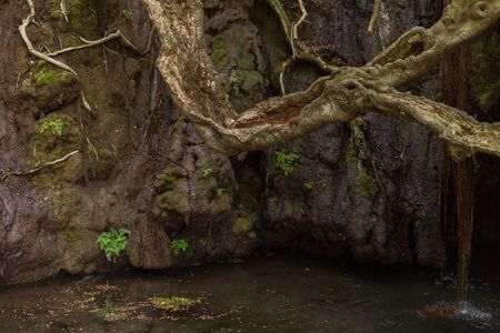 Baths of Aphrodite Grotto with pond and water spring in Akamas national park, Paphos, Cyprus