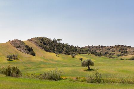 Cyprus spring time landscape on the foothills oof Pentadaktylos mountainsの写真素材