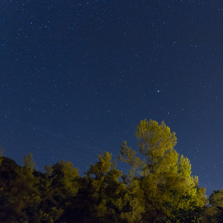 Starry Night over the Forest at the Troodos mountains. Photo taken over Kakopetria village in Cyprus