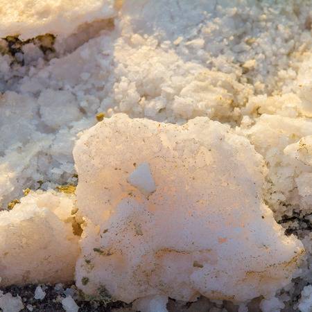 Backlit crusts of sea salt at Larnaca Salt Lake in Cyprusの写真素材