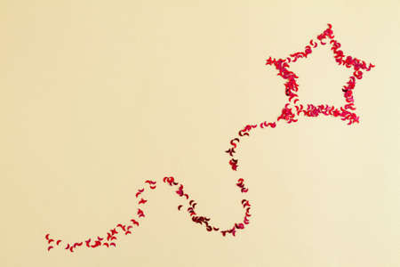 Christmas decoration of red filings arranged in a star shape with trailの写真素材