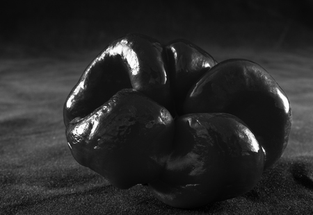 Flat sweet pepper with interesting shapes in monochrome on a dark backgroundの写真素材