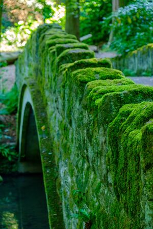 Romantic scene of an old stone bridge and water stream in Jesmond Dene park on a summer afternoon in...