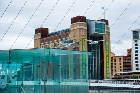 Newcastle, United Kingdom -June 30, 2019: Two seagulls fly at a low altitude over the Gateshead Millennium Bridge at Newcastle Quayside.  The Baltic Centre for Contemporary Art is visible in the background.のeditorial素材