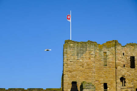 Gull flies above the ruins of a section of the Medieval Tynemouth Priory and Castle in the United Kingdomのeditorial素材